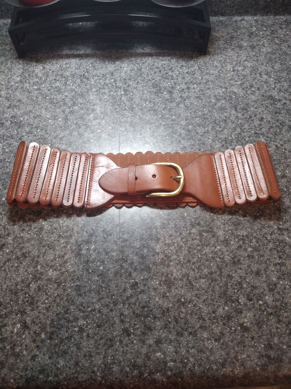 Anthropolgie Wide Brown Elastic Stretch Belt with Brass Buckle - Women's